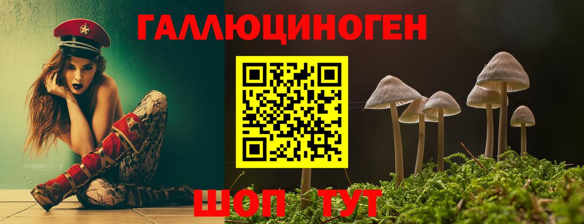 Псилоцибиновые грибы MAGIC MUSHROOMS Протвино